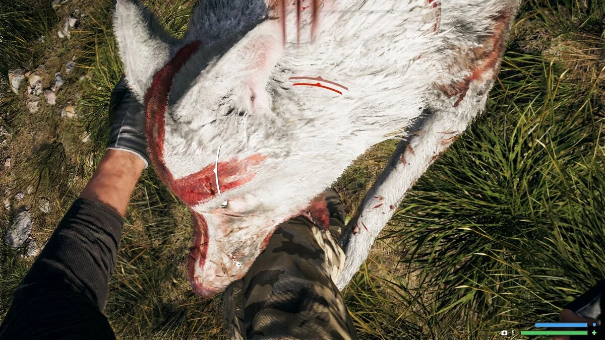 Скриншоты из Far Cry 5 / Картинка 79