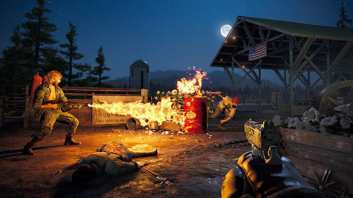 Скриншоты из Far Cry 5 / Картинка 30