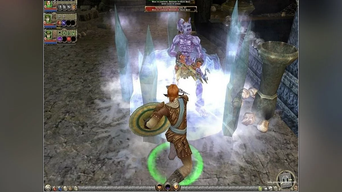 Скриншоты из Dungeon Siege 2 / Картинка 21