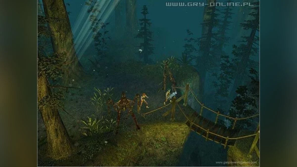 Скриншоты из Dungeon Siege 2 / Картинка 33