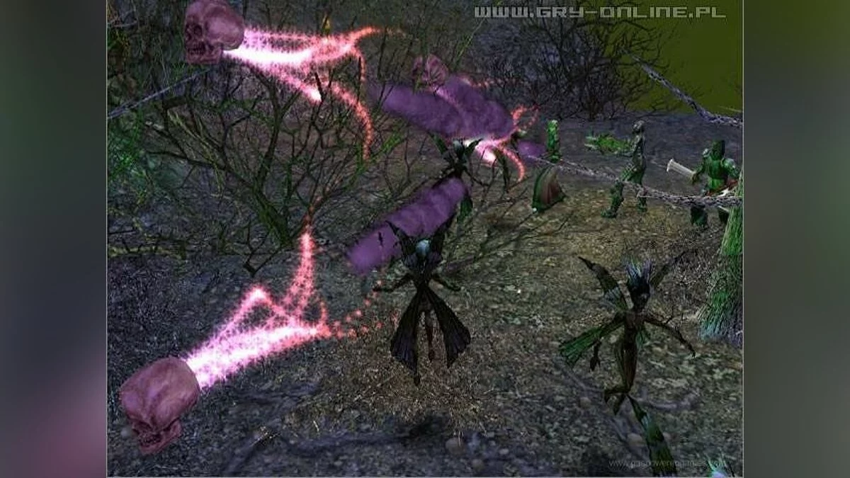 Скриншоты из Dungeon Siege 2 / Картинка 37