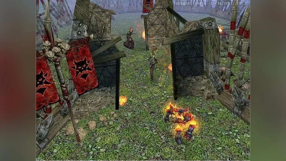 Скриншоты из Dungeon Siege 2 / Картинка 52