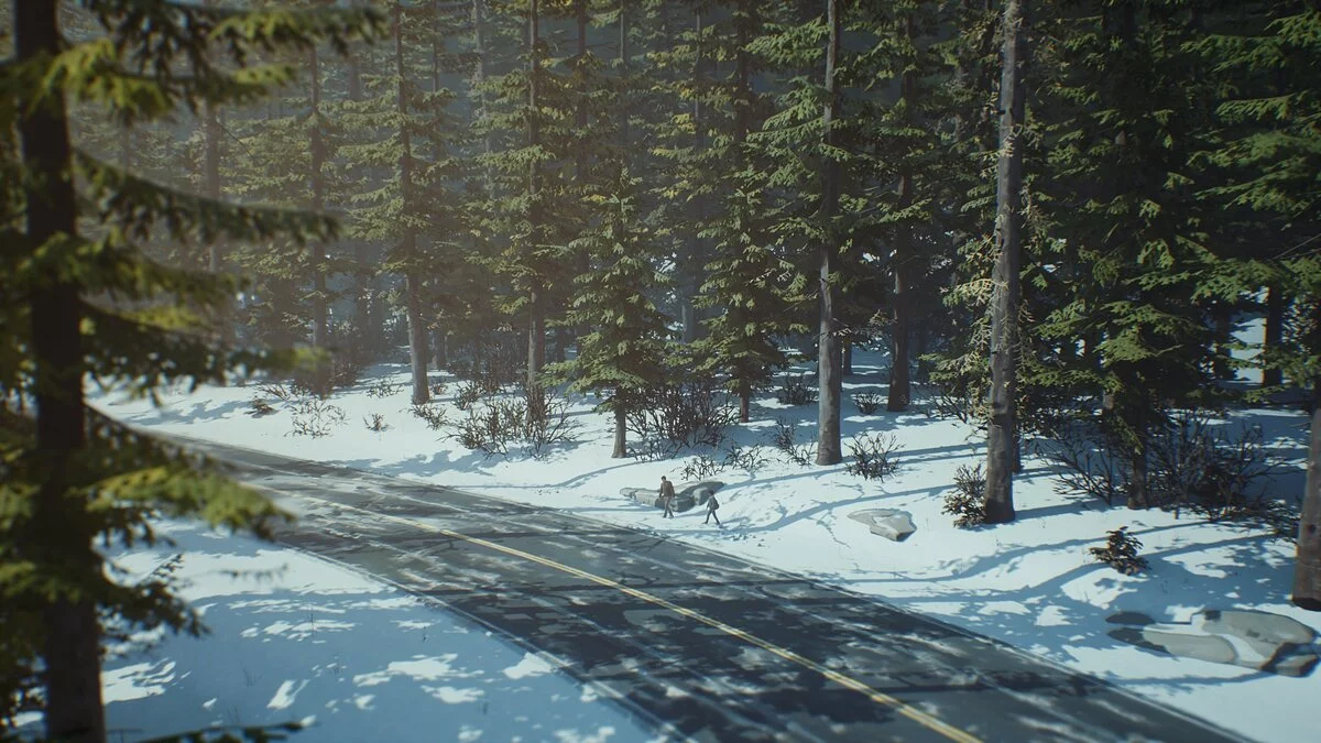 Скриншоты из Life is Strange 2 / Картинка 70