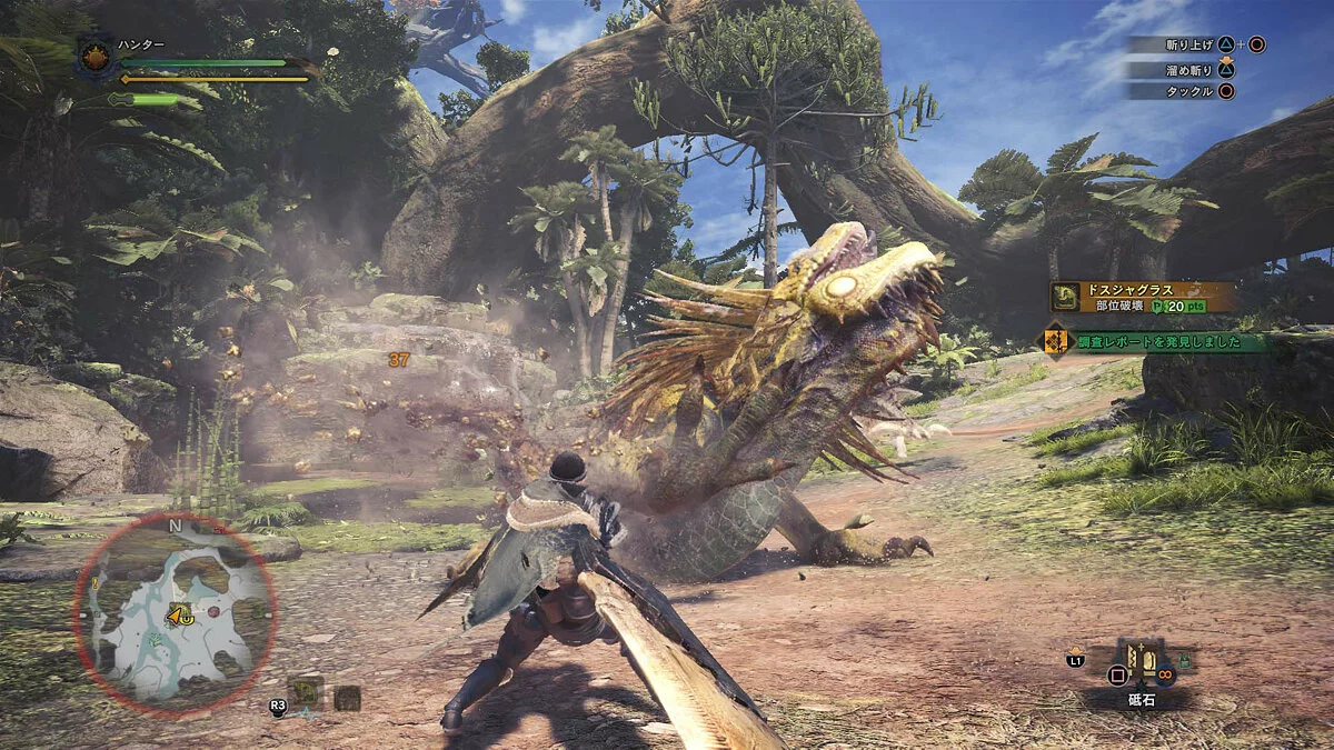 Скриншоты из Monster Hunter: World / Картинка 60