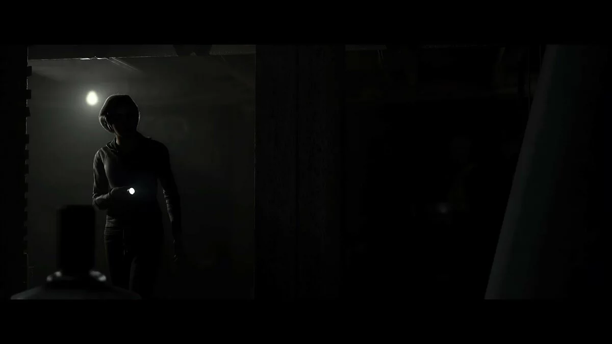 Скриншоты из Hidden Agenda / Картинка 48