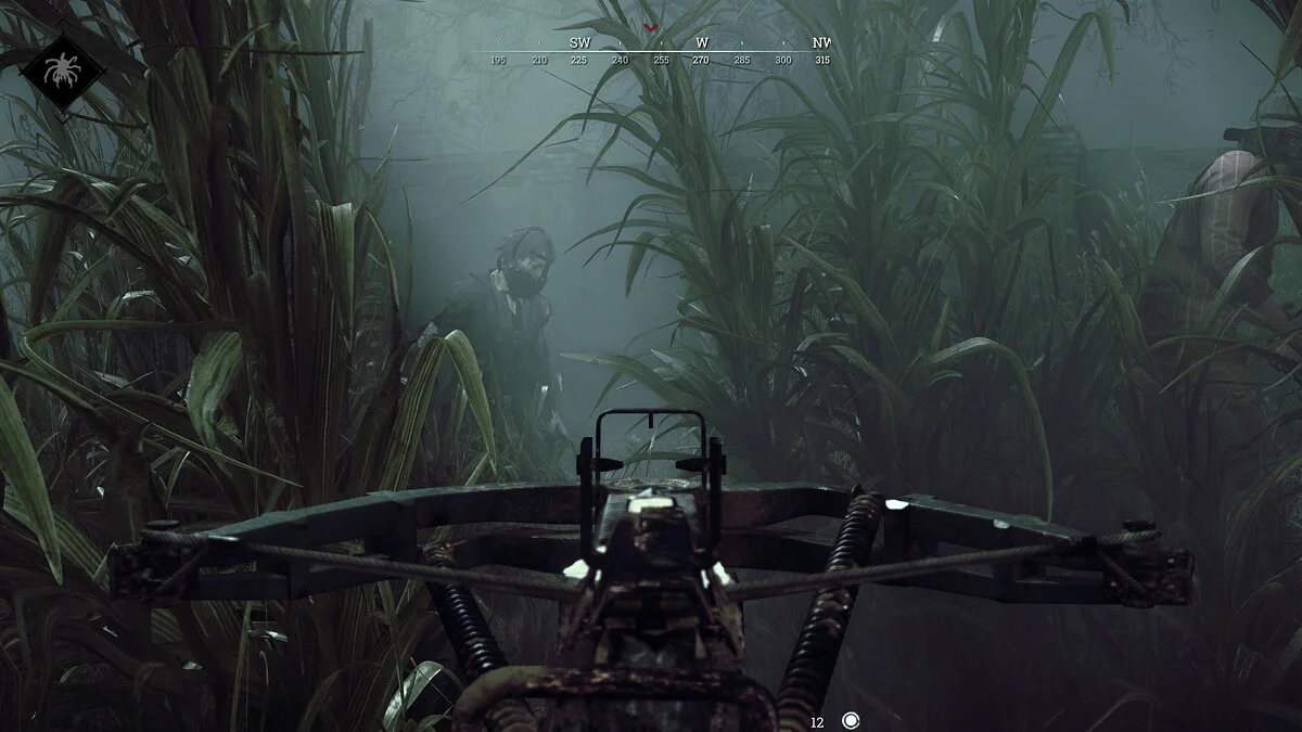 Скриншоты из Hunt: Showdown 1896 / Картинка 115