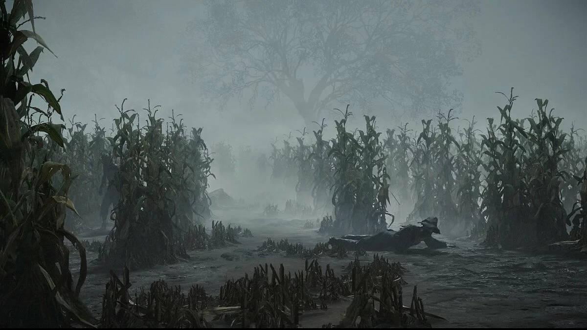 Скриншоты из Hunt: Showdown 1896 / Картинка 143