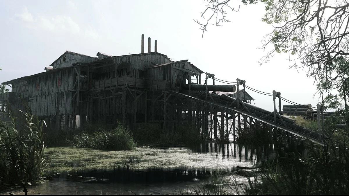 Скриншоты из Hunt: Showdown 1896 / Картинка 150