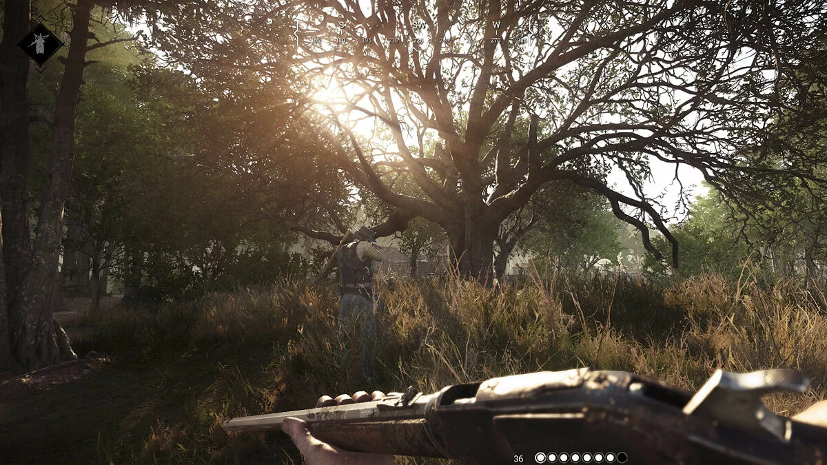 Скриншоты из Hunt: Showdown 1896 / Картинка 104