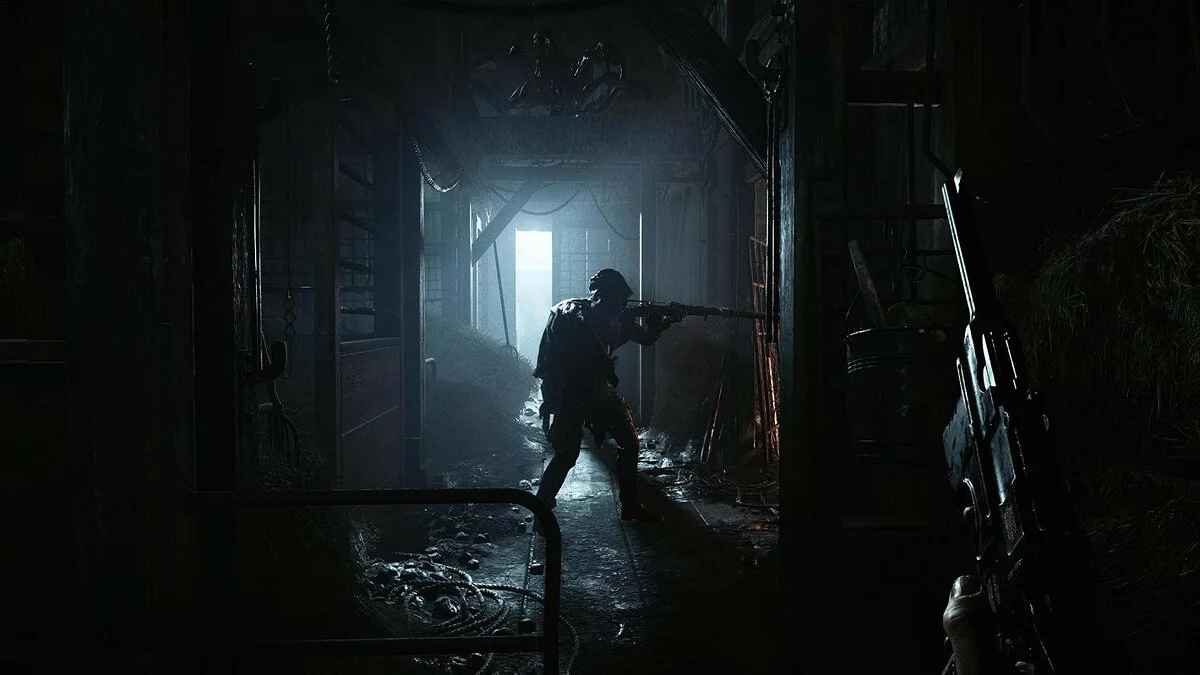 Скриншоты из Hunt: Showdown 1896 / Картинка 3