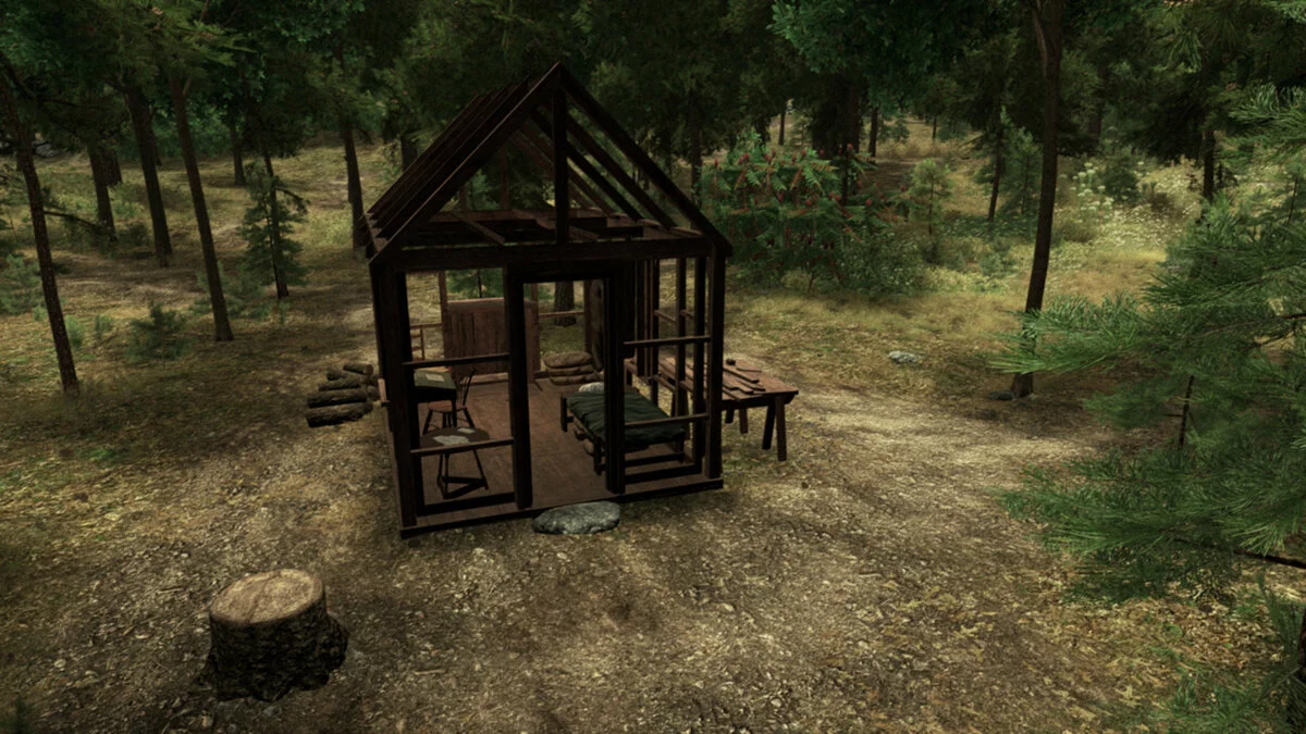 Скриншоты из Walden, a game / Картинка 6