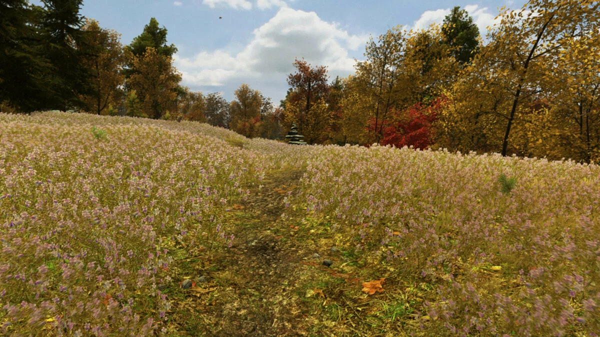 Скриншоты из Walden, a game / Картинка 15