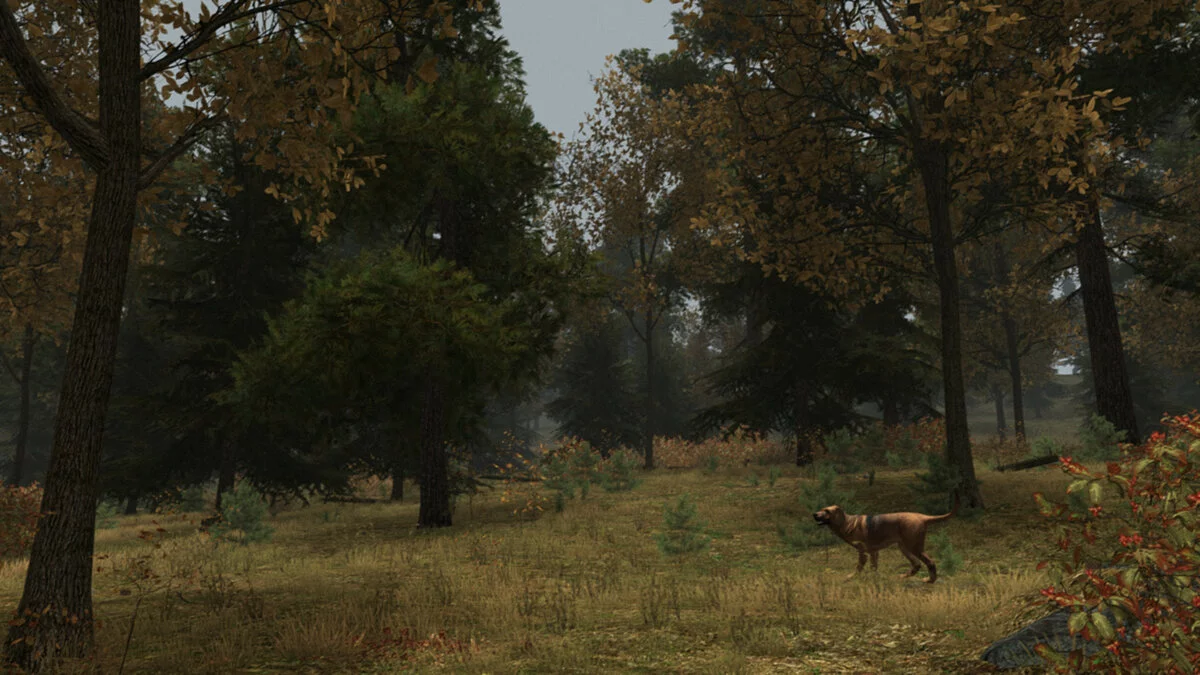 Скриншоты из Walden, a game / Картинка 16