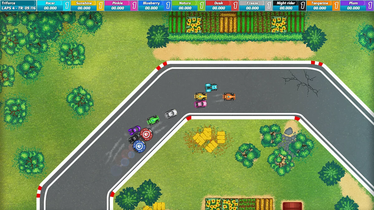 Скриншоты из Race Arcade / Картинка 7