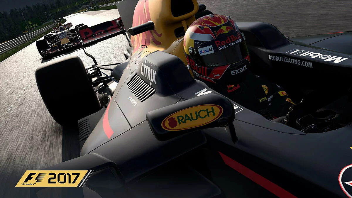 Скриншоты из F1 2017 / Картинка 13