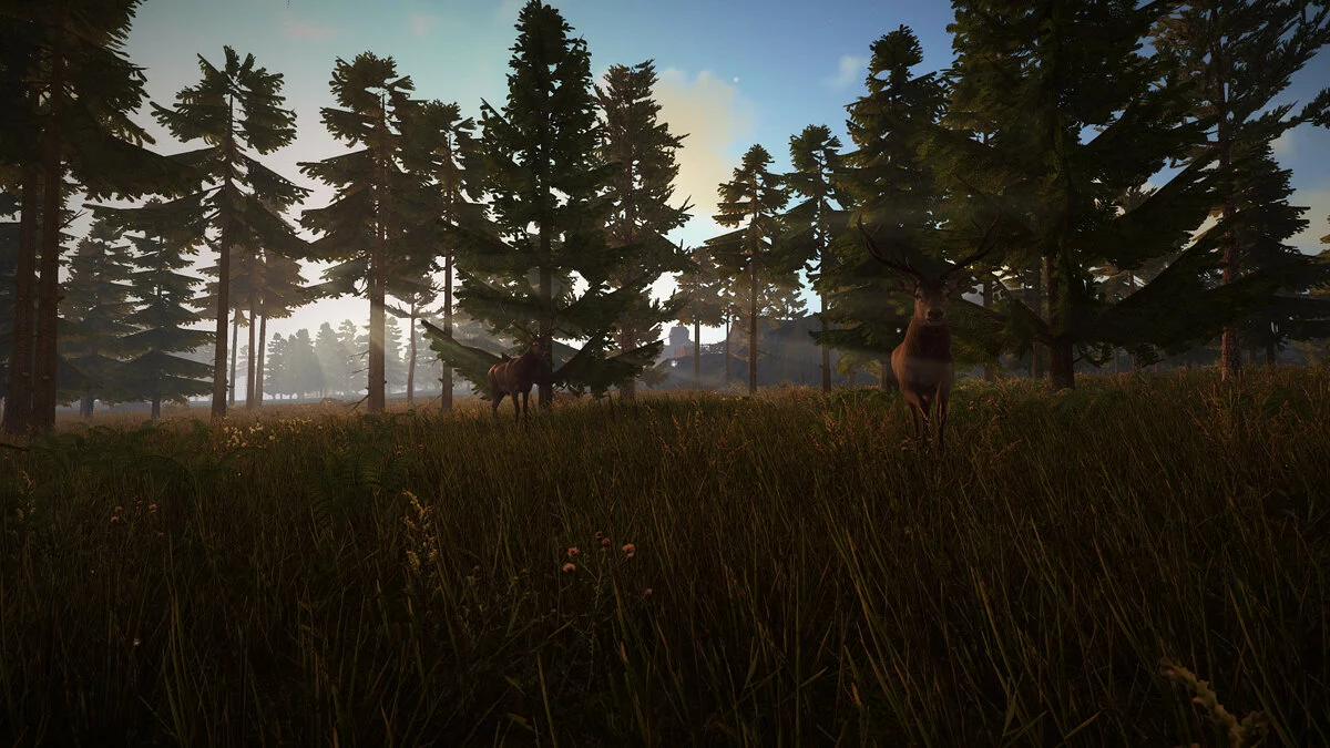 Скриншоты из Valnir Rok Survival RPG / Картинка 13