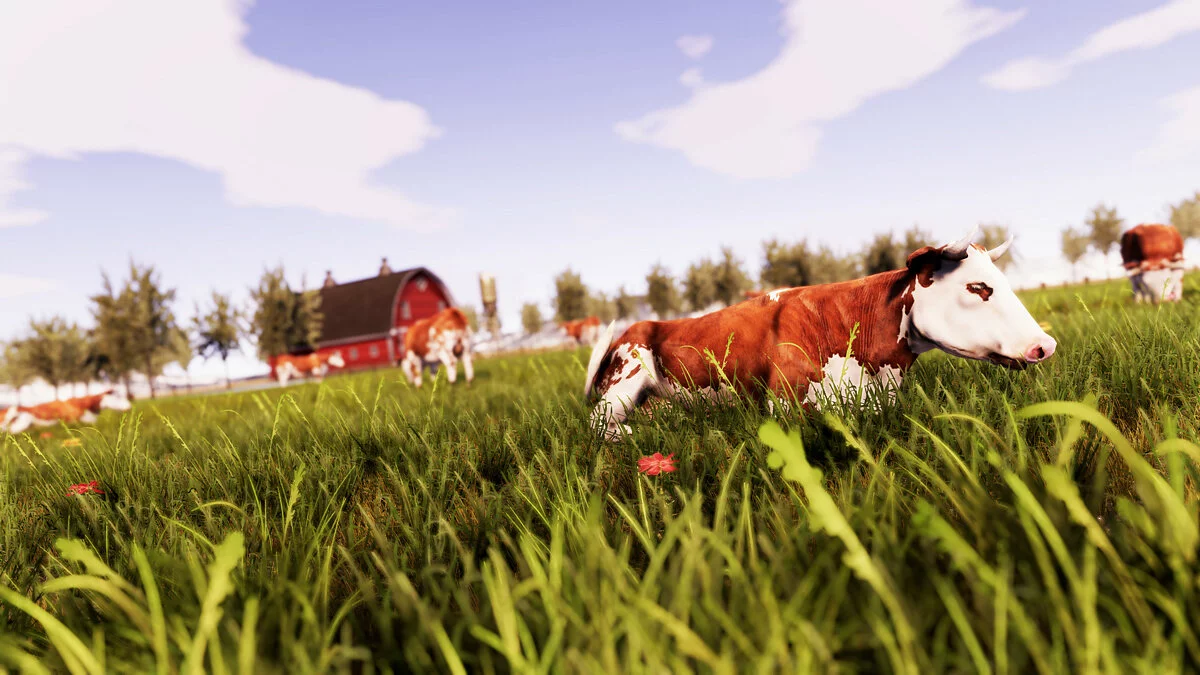 Скриншоты из Real Farm / Картинка 9