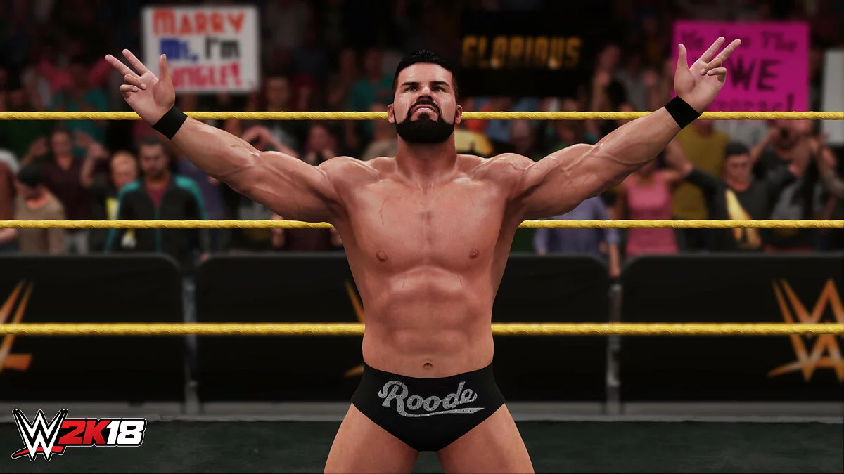 Скриншоты из WWE 2K18 / Картинка 15