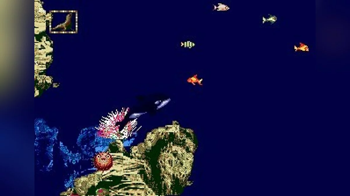 Скриншоты из Ecco Jr. / Картинка 20