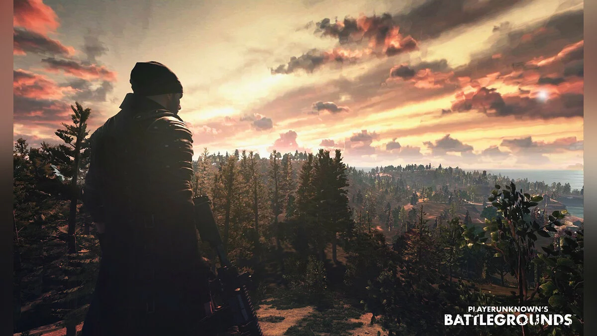 Арт из PUBG: Battlegrounds / Картинка 12