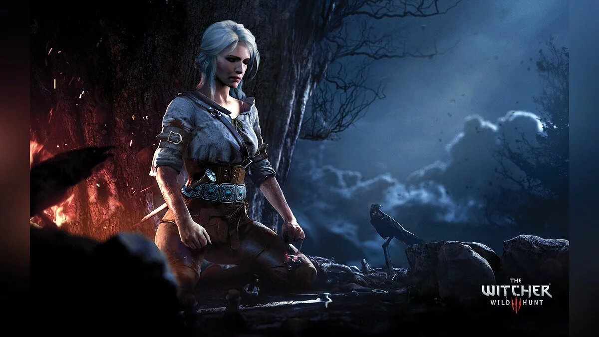 Арт из The Witcher 3: Wild Hunt / Картинка 128