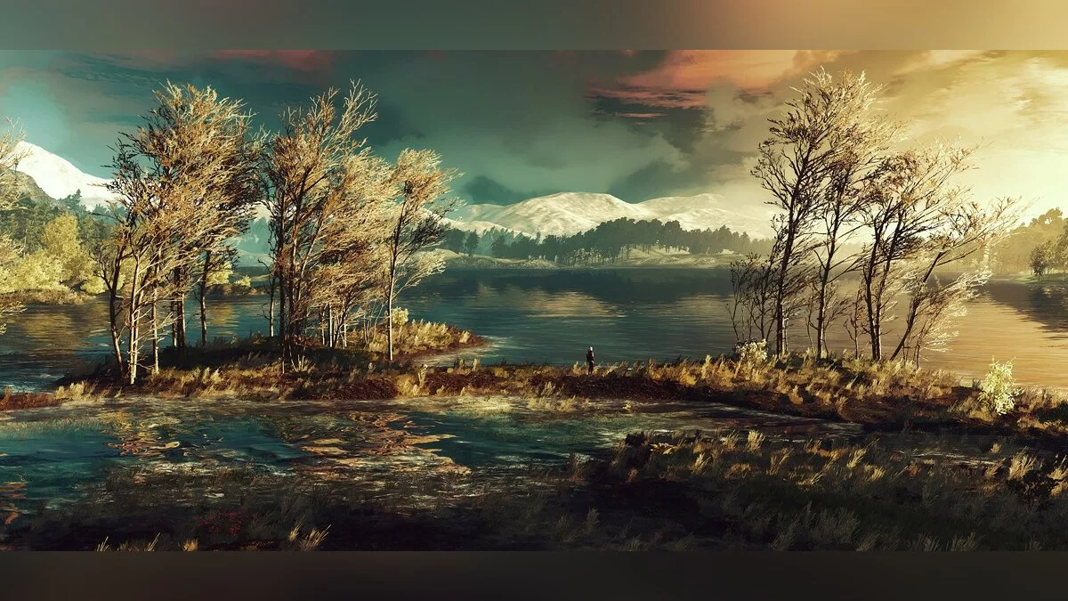 Арт из The Witcher 3: Wild Hunt / Картинка 133