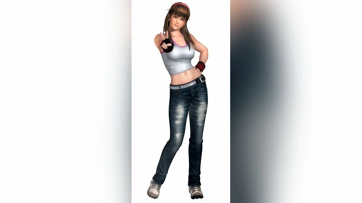 Арт из Dead or Alive 5 / Картинка 10