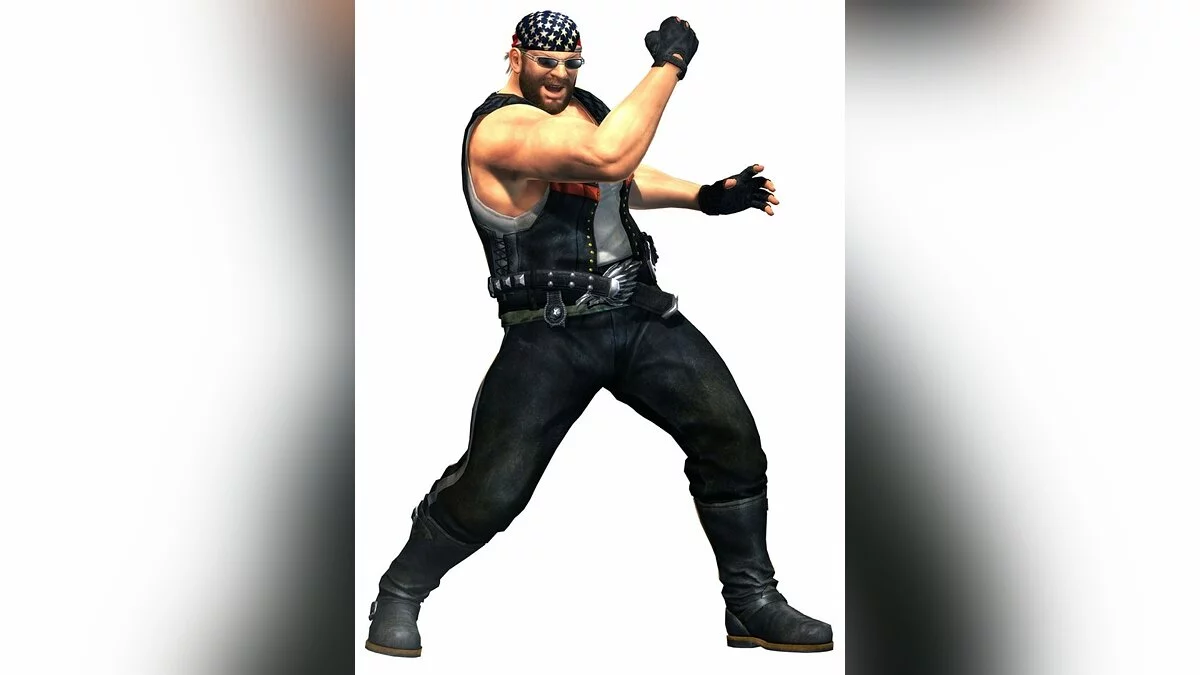 Арт из Dead or Alive 5 / Картинка 15