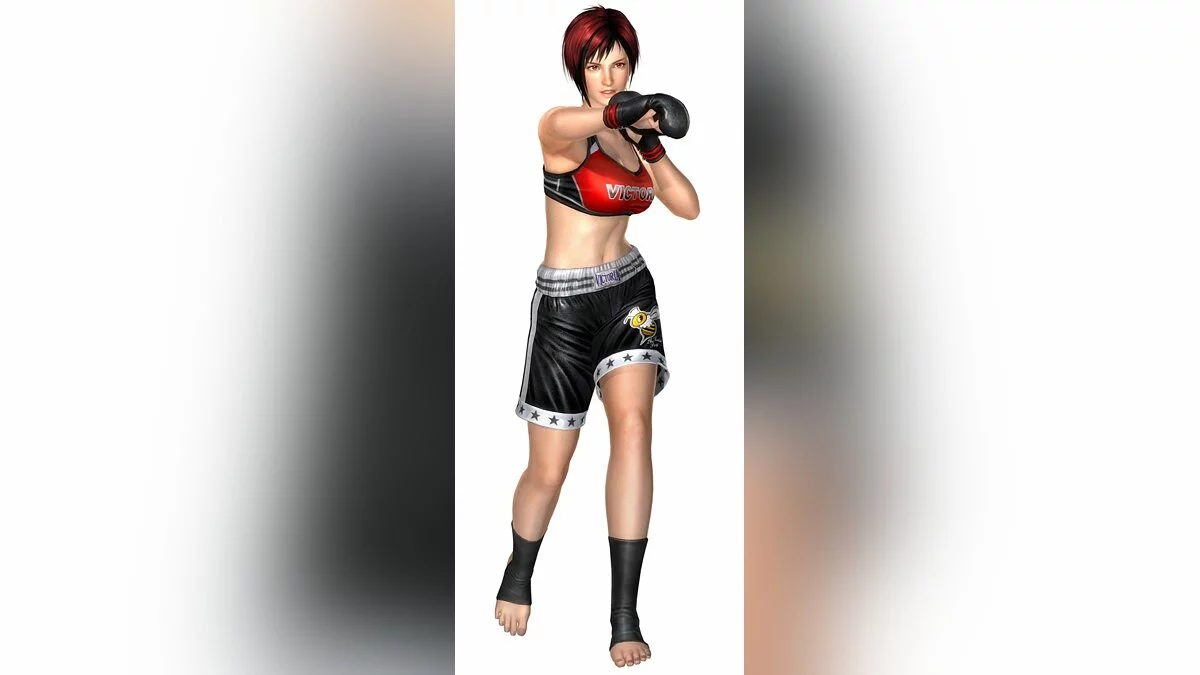 Арт из Dead or Alive 5 / Картинка 24