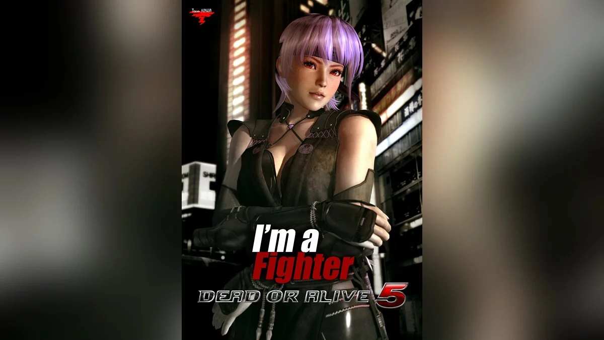 Арт из Dead or Alive 5 / Картинка 28