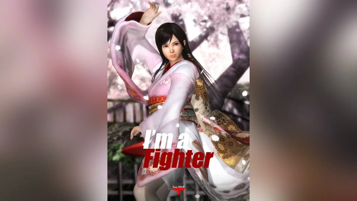 Арт из Dead or Alive 5 / Картинка 34