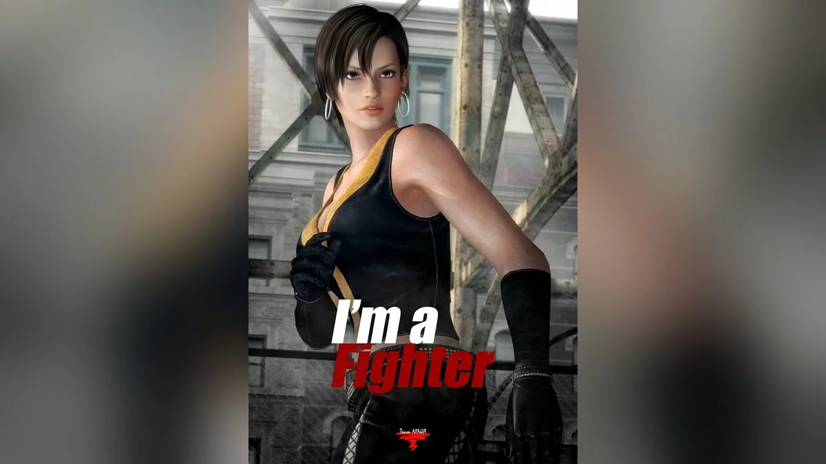 Арт из Dead or Alive 5 / Картинка 37