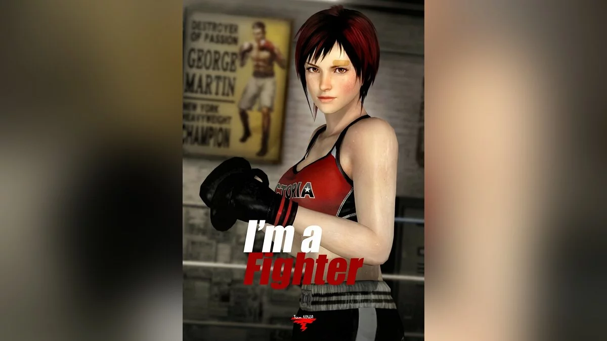 Арт из Dead or Alive 5 / Картинка 38