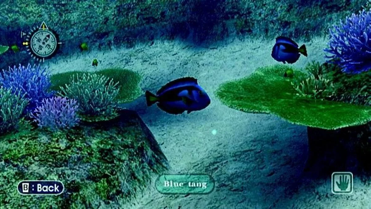 Скриншоты из Endless Ocean / Картинка 96