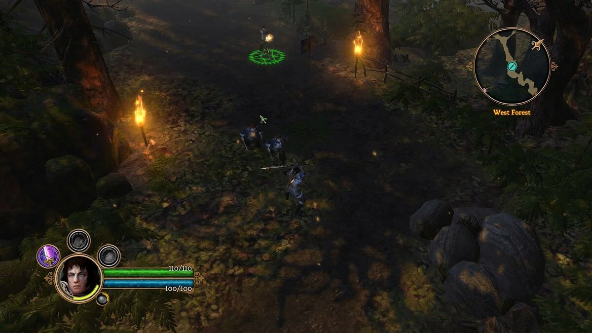 Скриншоты из Dungeon Siege 3 / Картинка 71