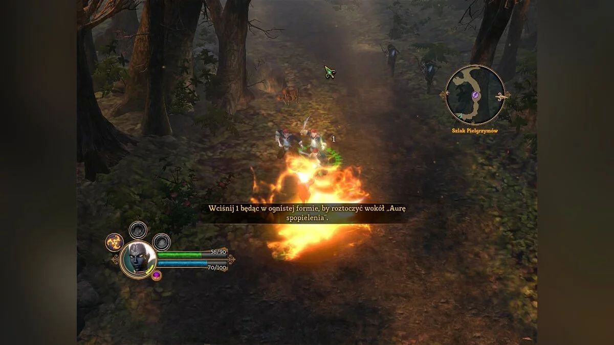 Скриншоты из Dungeon Siege 3 / Картинка 90