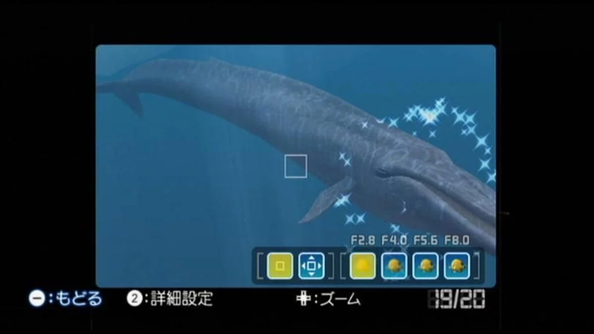 Скриншоты из Endless Ocean: Blue World / Картинка 11