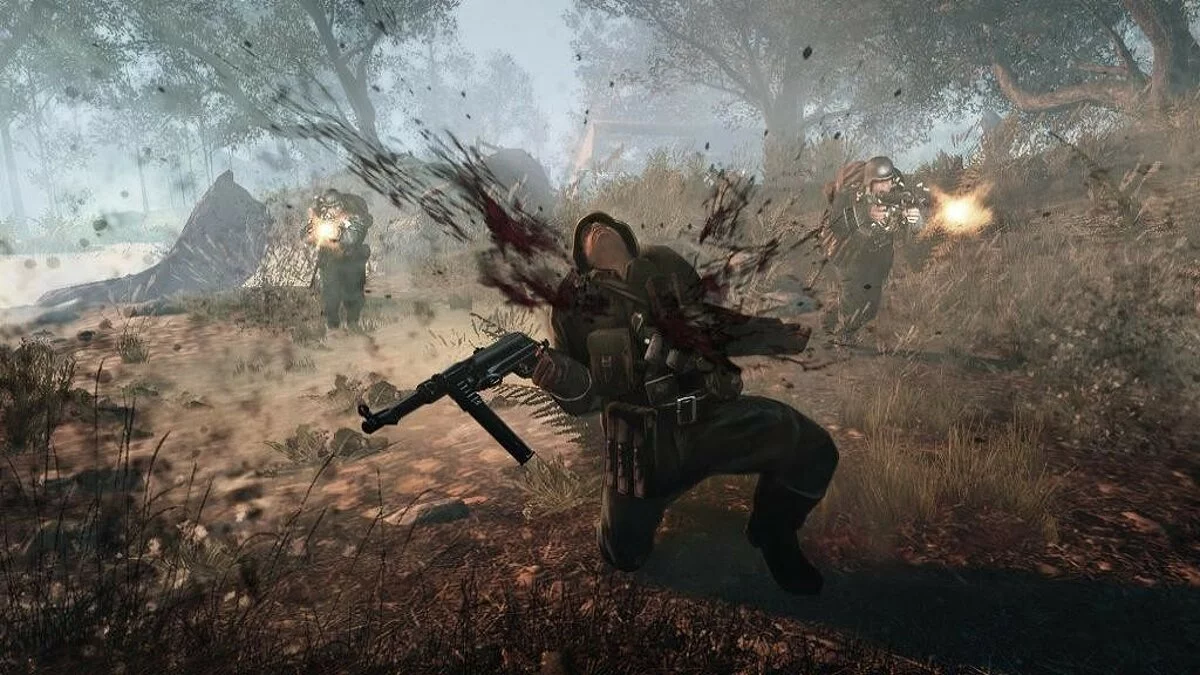 Скриншоты из Enemy Front / Картинка 46