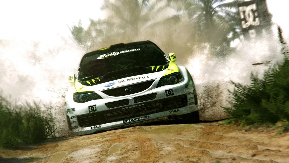 Арт из Colin McRae: DiRT 2 / Картинка 14