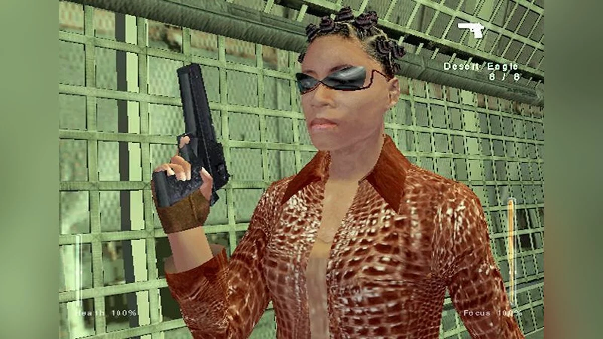 Скриншоты из Enter the Matrix / Картинка 50