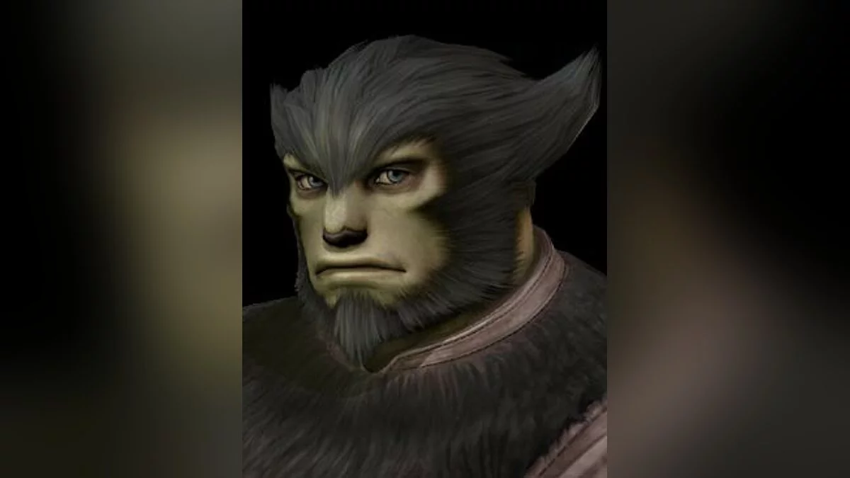 Арт из Final Fantasy XI / Картинка 82
