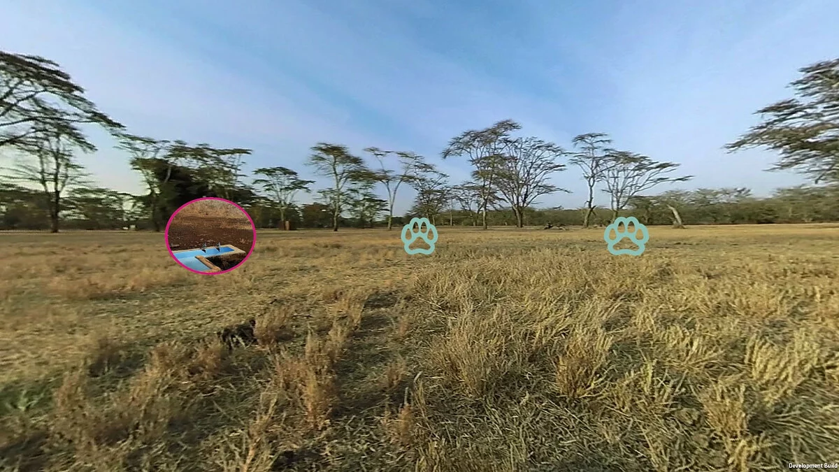Скриншоты из Virry VR: Feel the Wild / Картинка 2