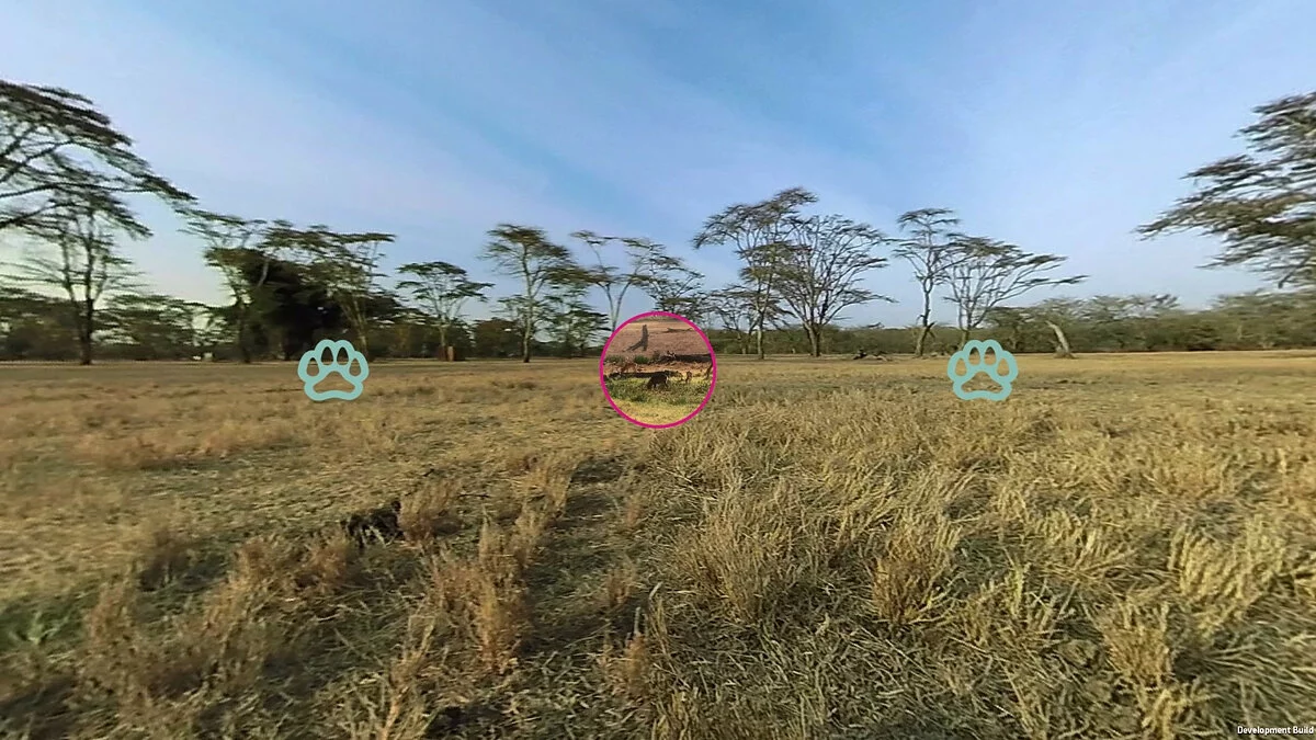 Скриншоты из Virry VR: Feel the Wild / Картинка 3