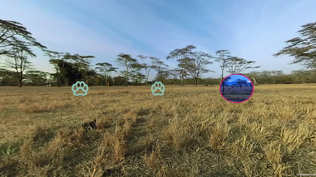 Скриншоты из Virry VR: Feel the Wild / Картинка 4