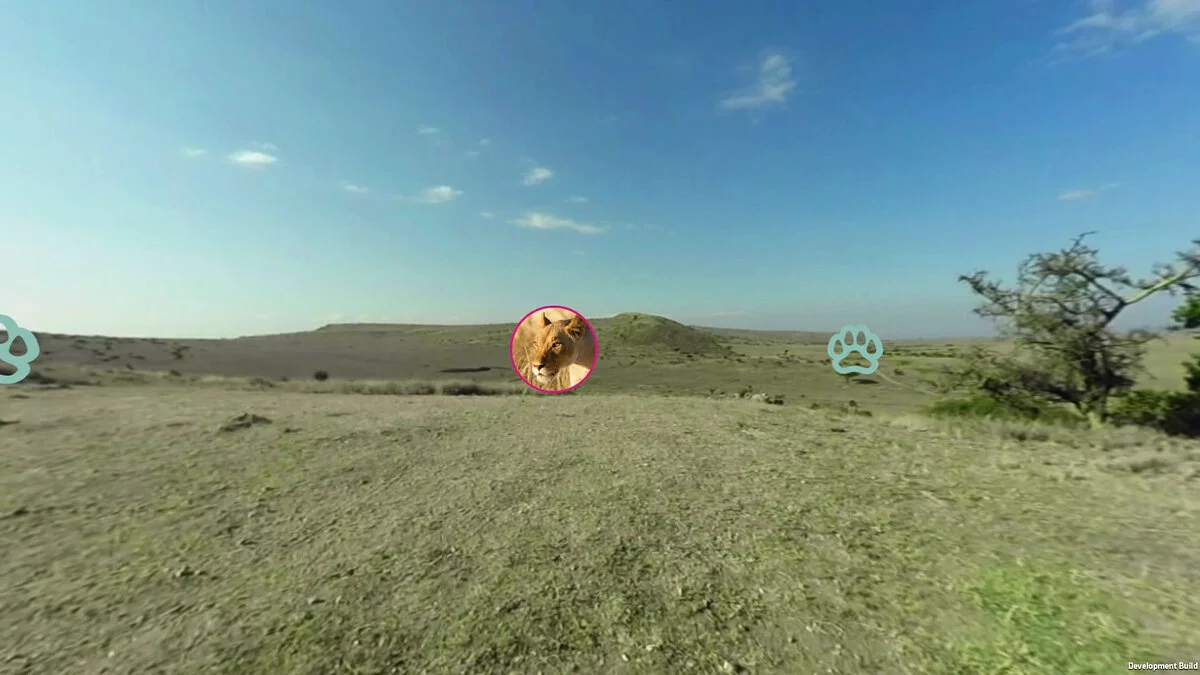 Скриншоты из Virry VR: Feel the Wild / Картинка 13