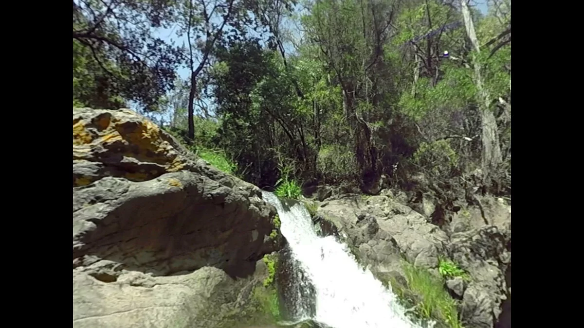 Скриншоты из Virry VR: Feel the Wild / Картинка 43