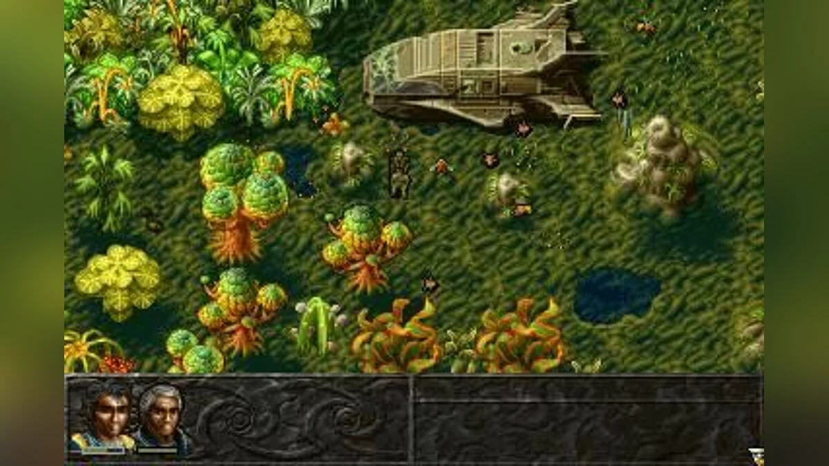 Скриншоты из Albion / Картинка 36