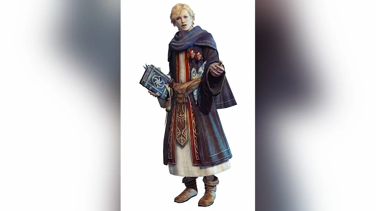 Арт из Dragon's Dogma Online / Картинка 13