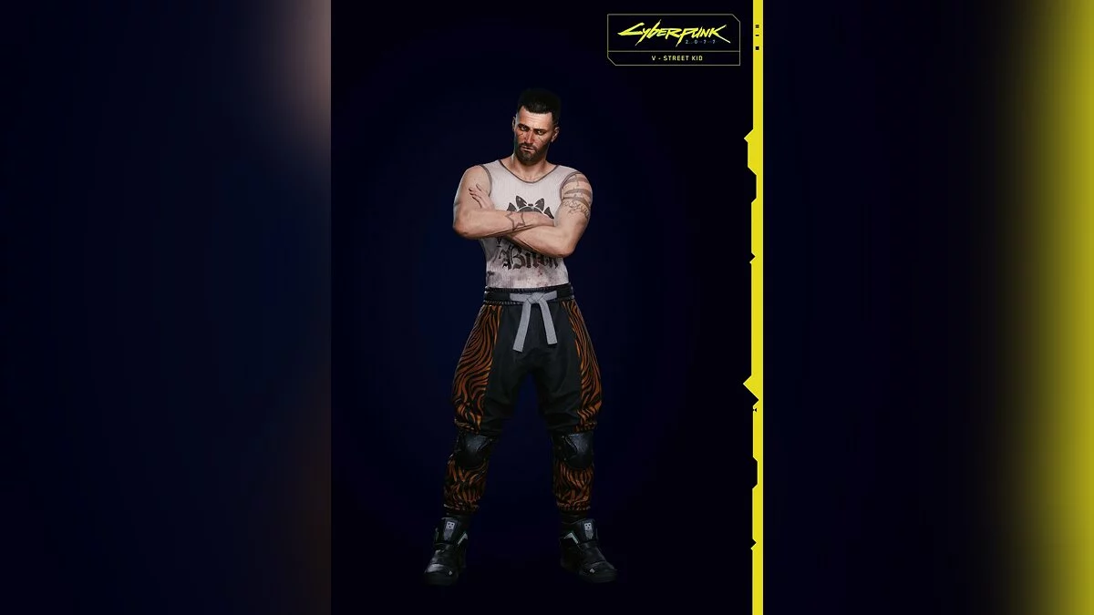Арт из Cyberpunk 2077 / Картинка 169
