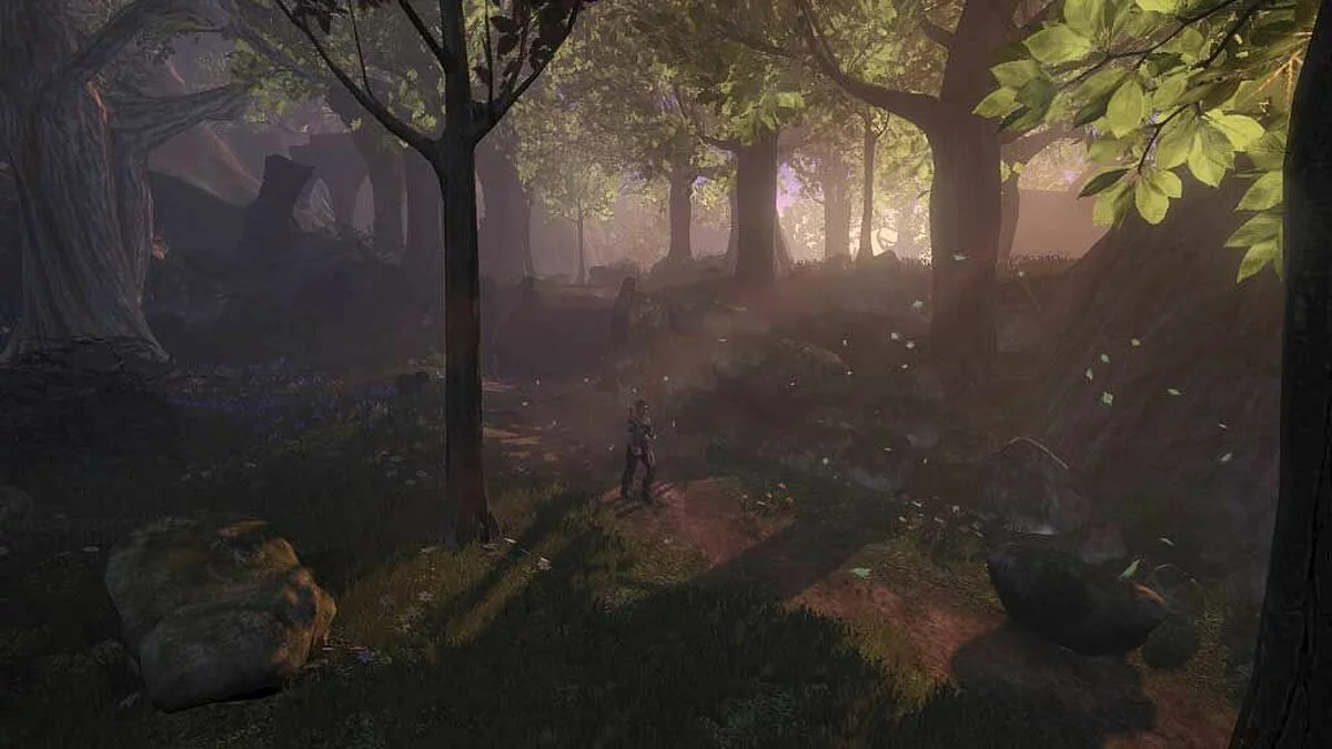 Скриншоты из Fable 2 / Картинка 59